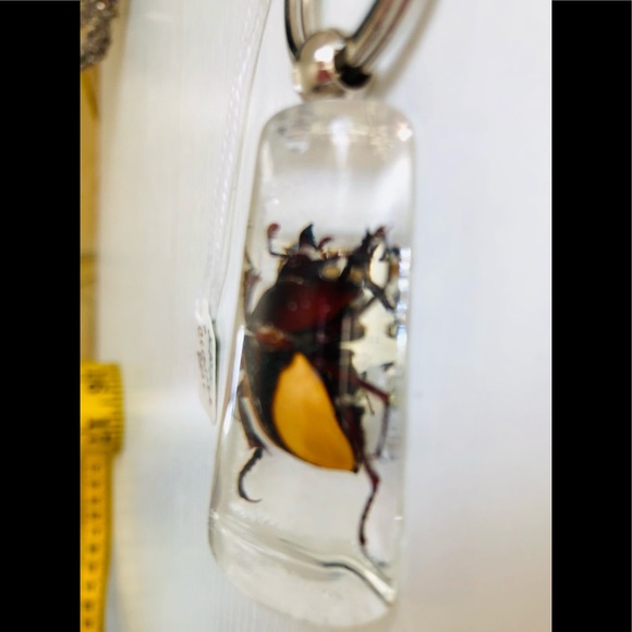 Natural beetle in acrylic resin keychain - Picture 3 of 8